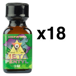BGP Leather Cleaner META PENTYL 24ml x18